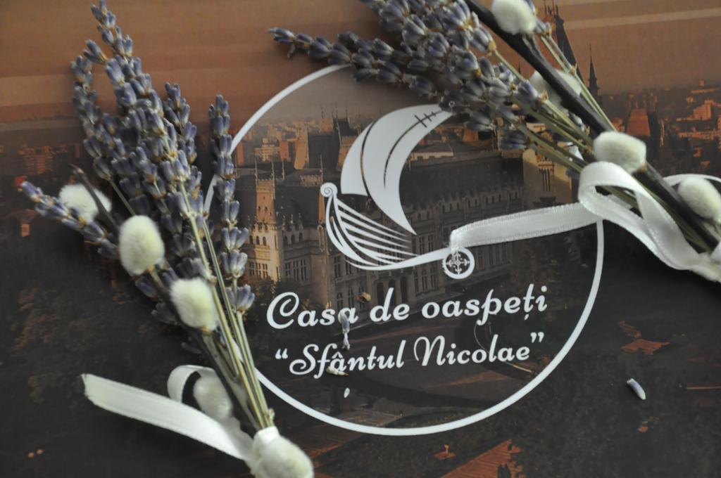 Casa De Oaspeti Sfantul Nicolae Jassy Zewnętrze zdjęcie